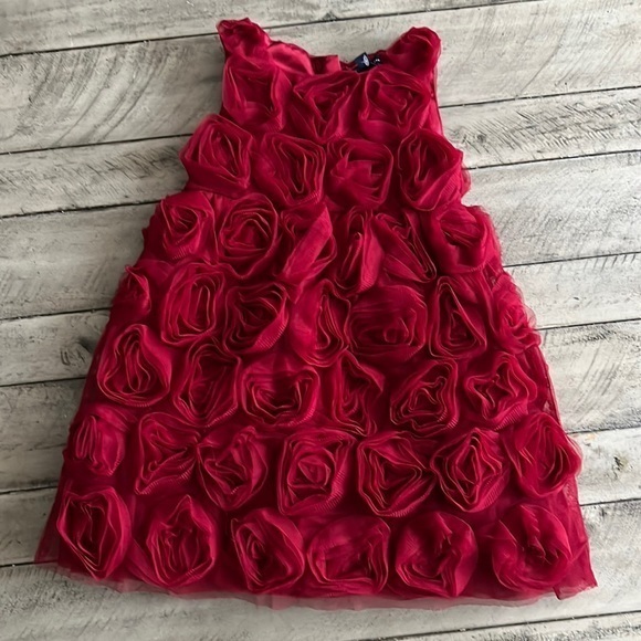 Gap Dark Red Holiday Dress Floral Tulle Roses Size 4 - Picture 1 of 7